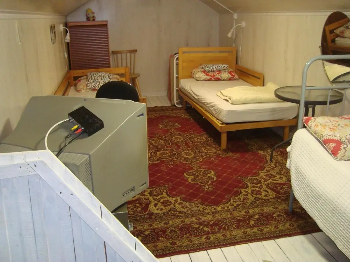 Борзые: Summer house