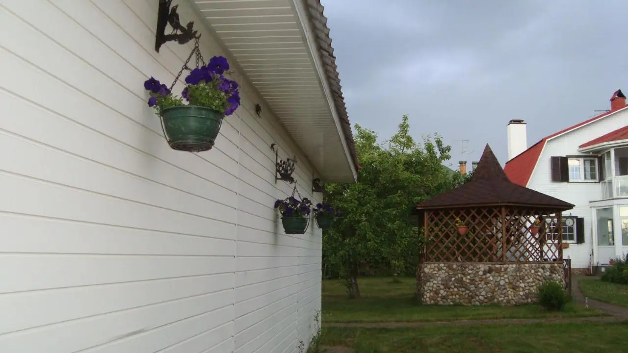 Борзые: Summer house