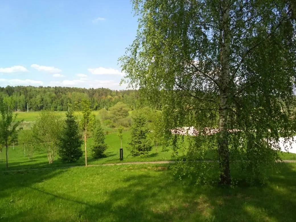 Борзые: Summer house