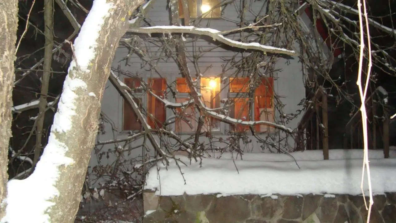 Борзые: Summer house