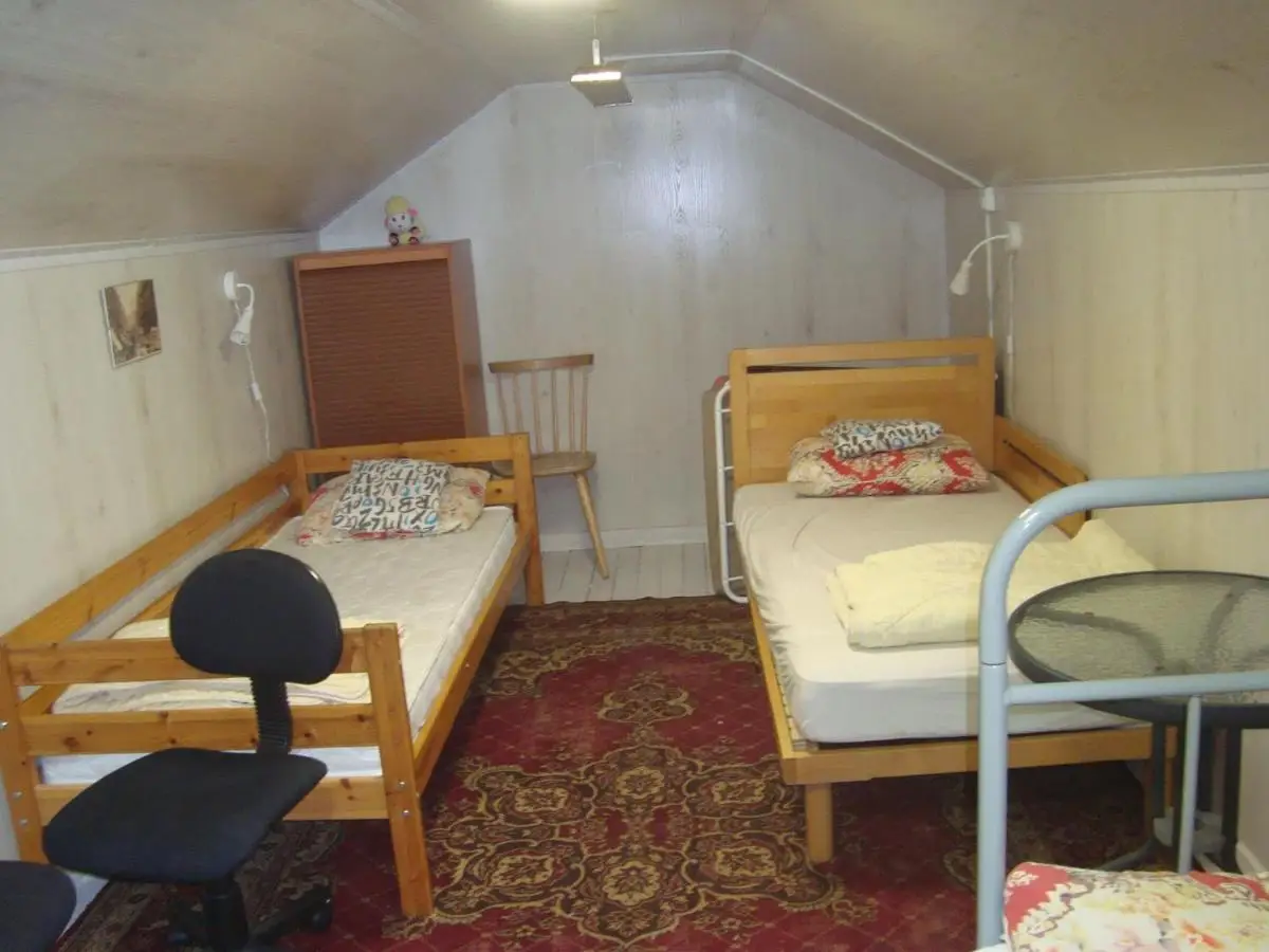 Борзые: Summer house