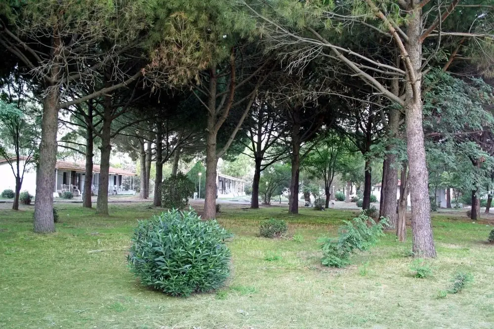 Эдремит: Akcay Pinea Club