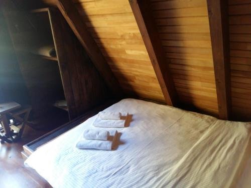 Ардешен: Viya Rafting Bungalovları
