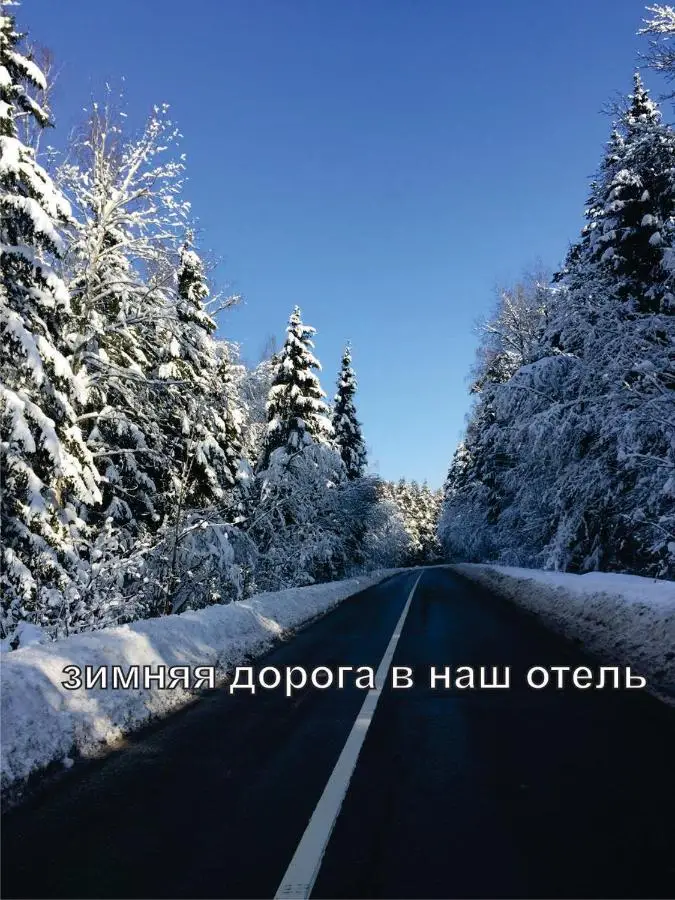 Домодедово: Отель «Александрия-Домодедово»