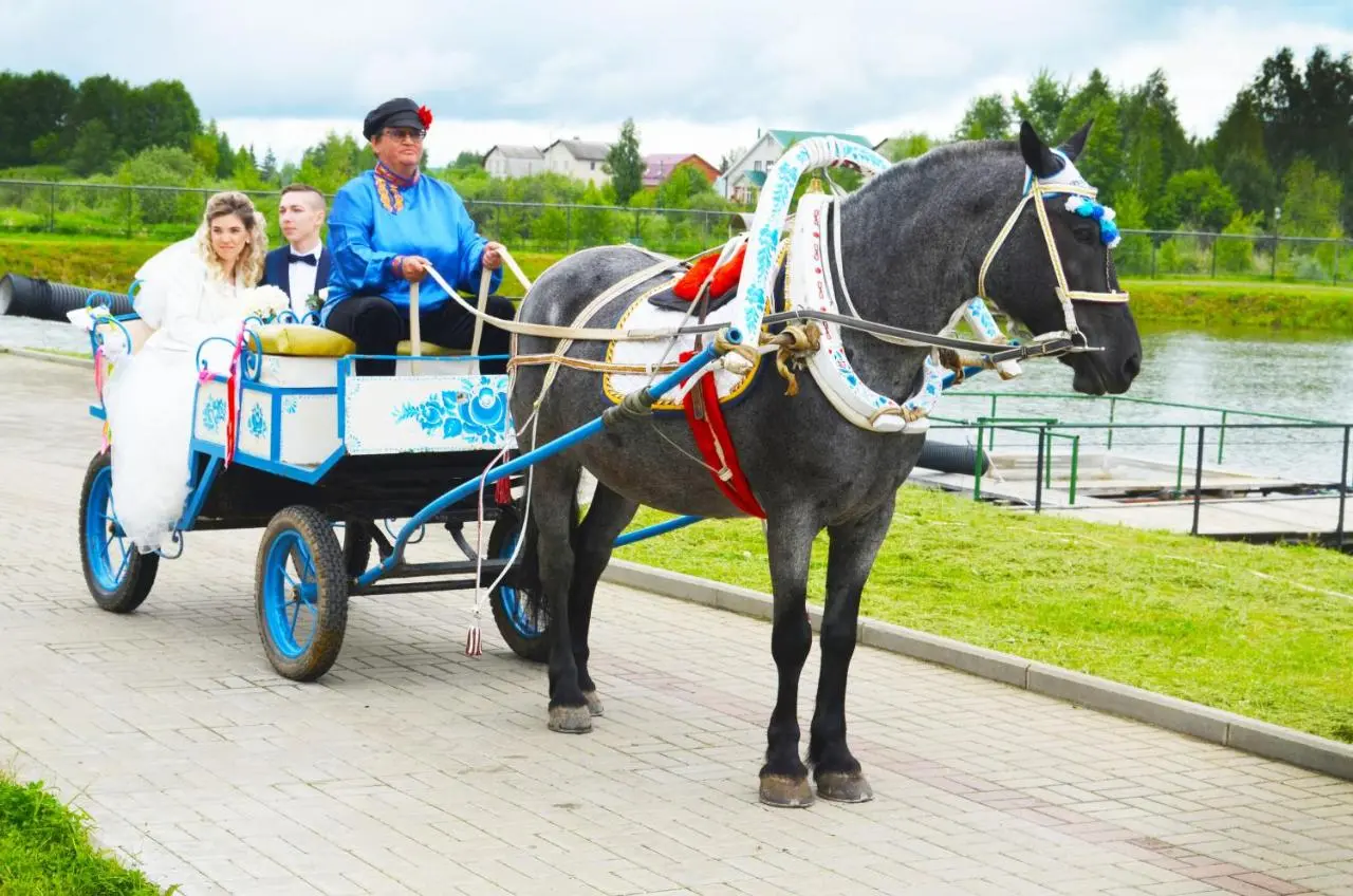 Гжель: Baza otdykha Ozero PONTI