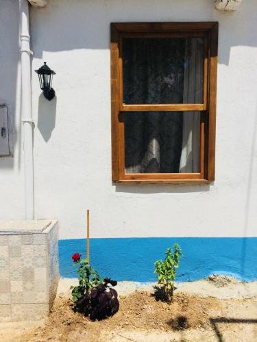 Aliya Konak - Köy Evi ve Lezzetleri — фото 1
