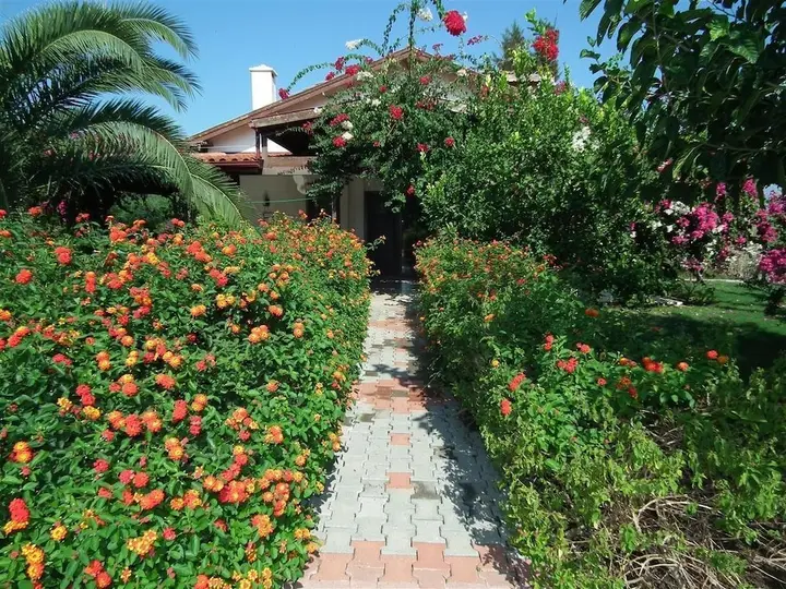 Дальян: Villa Nazli
