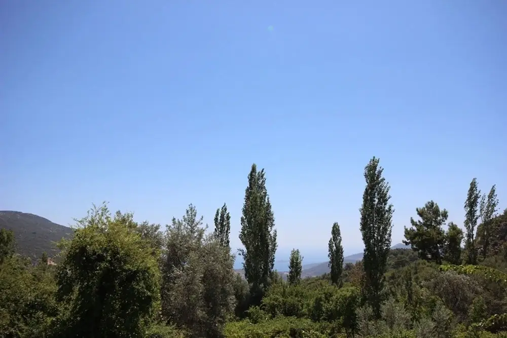 Исламлар: Villa Heves
