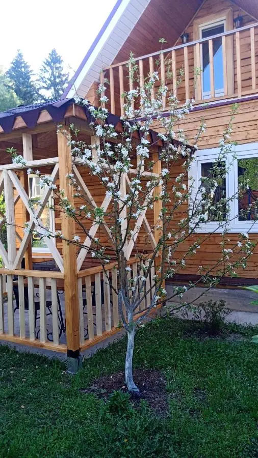 Солнечногорск: Гостевой дом ПРИБРЕЖНОЕ