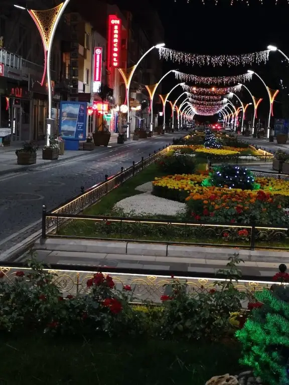 Байбурт: Hotel Saracoglu