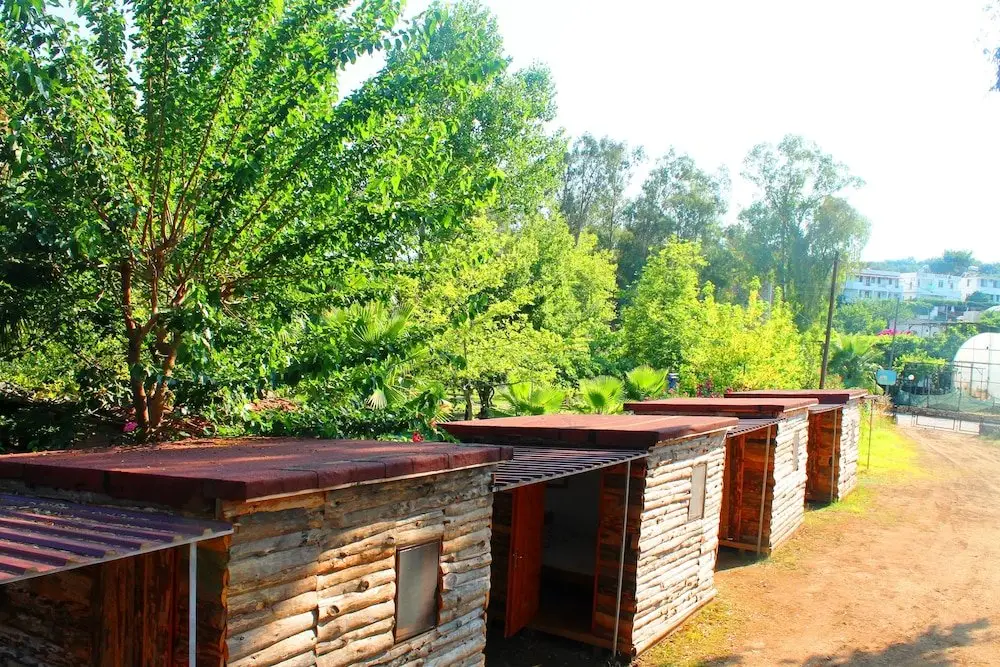 Патара: Medusa Bar & Camping - Hostel