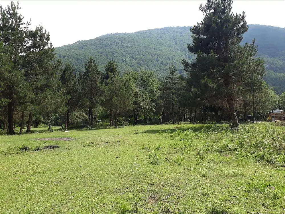 Увезпинар: Kirkahvesi Garden - Campsite