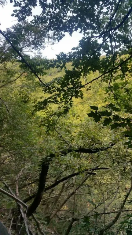 Увезпинар: Kirkahvesi Garden - Campsite