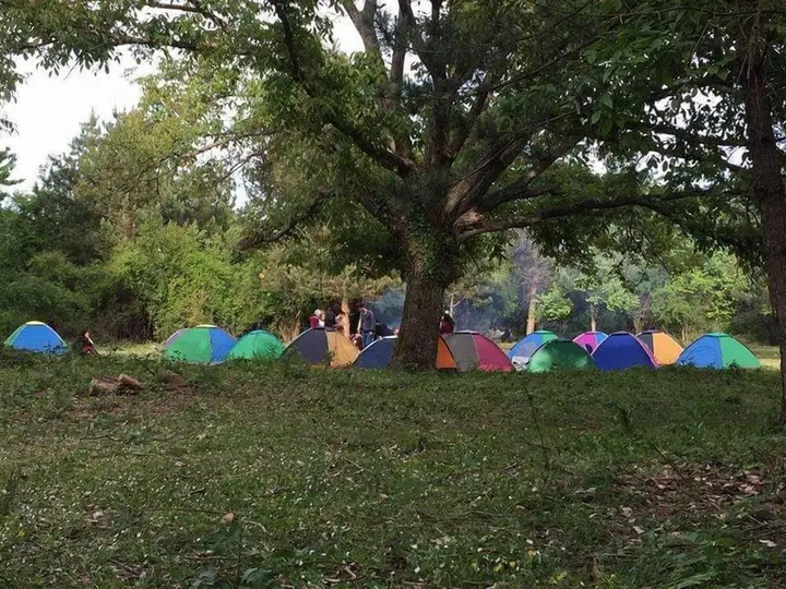 Увезпинар: Kirkahvesi Garden - Campsite