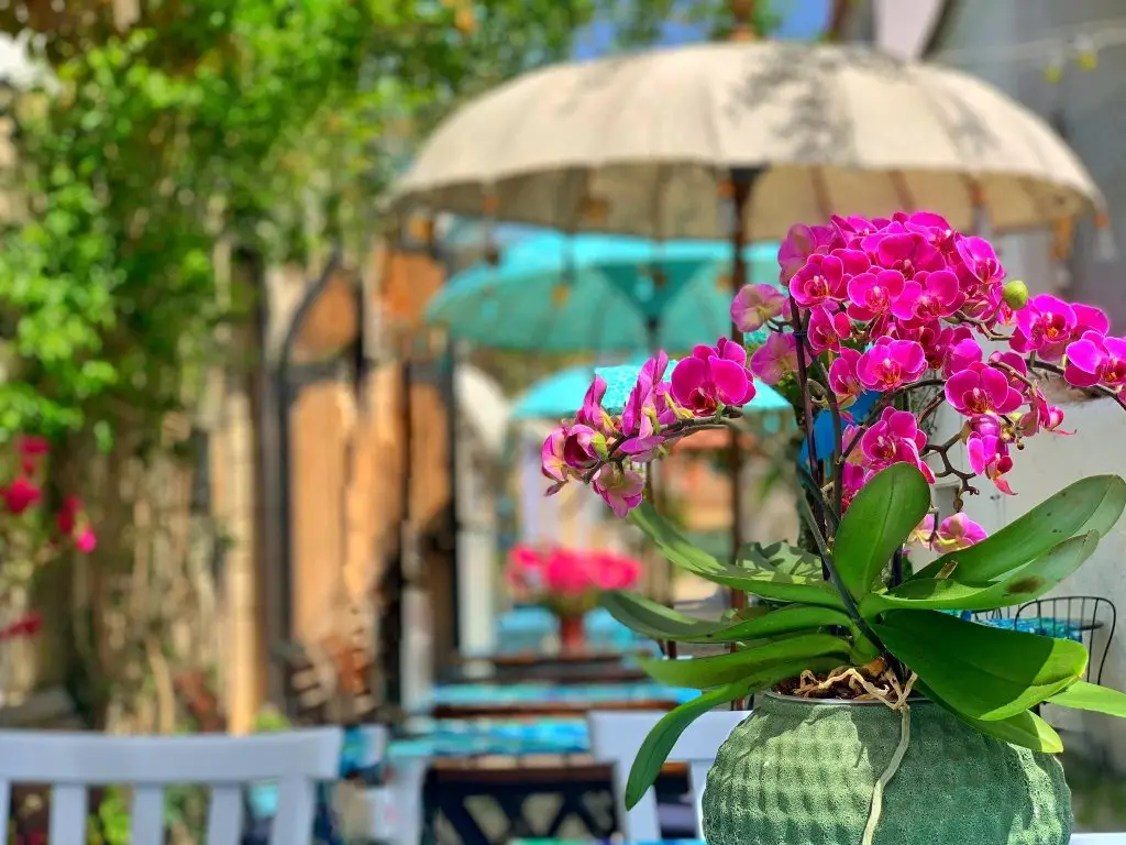 Чешме: Rue d’Azur Alacati