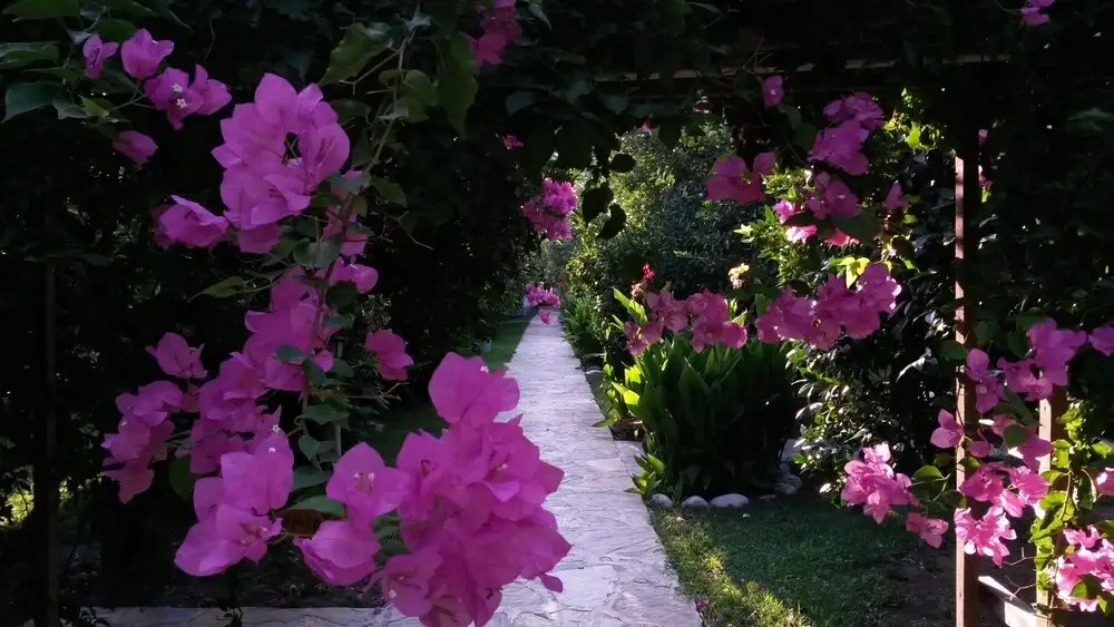 Чиралы: Hotel Yavuz Bungalow