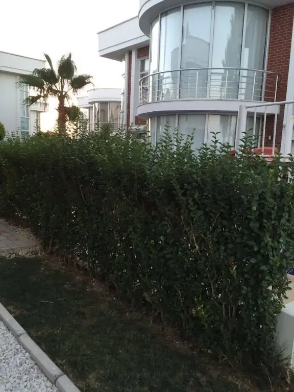 Белек: Ocean Villa 1