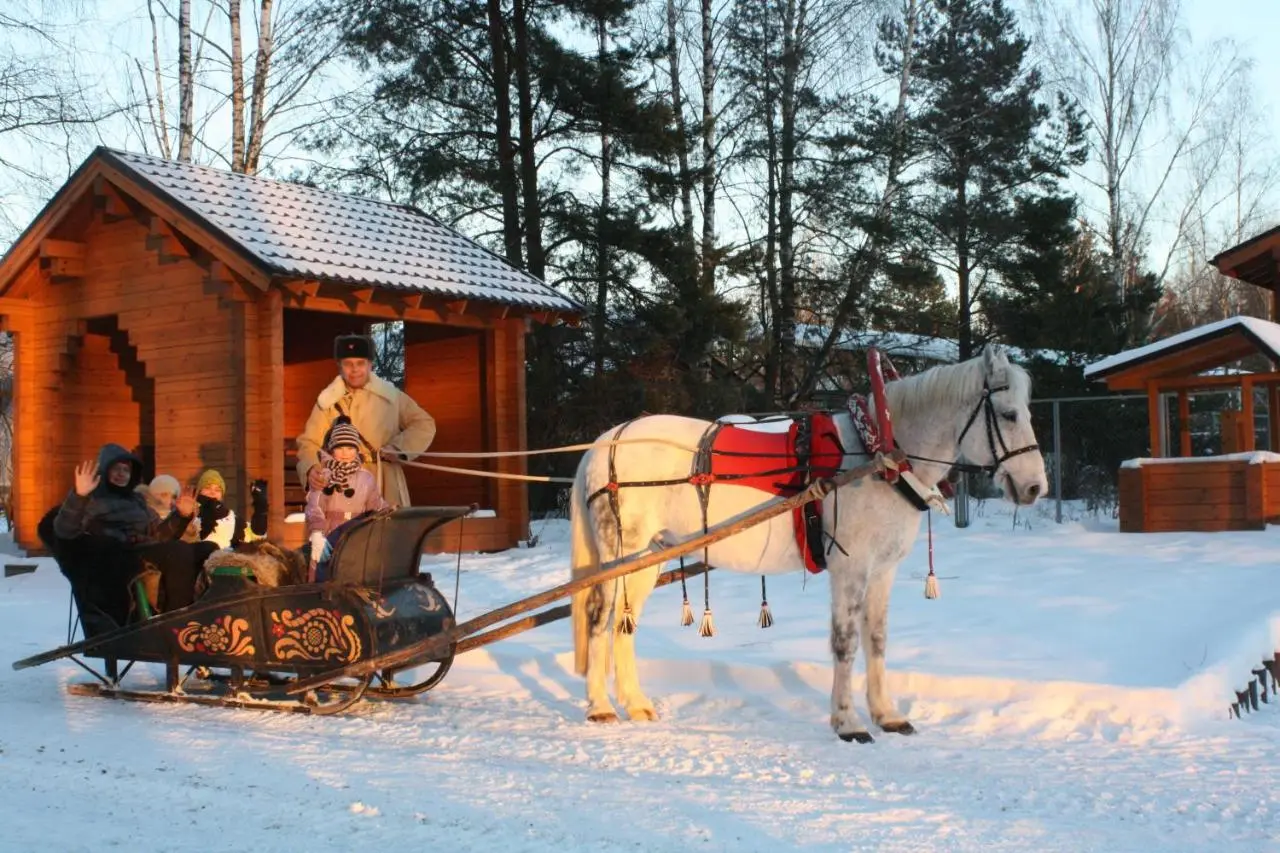 Ивановское: Nikolo-Pole Park Hotel