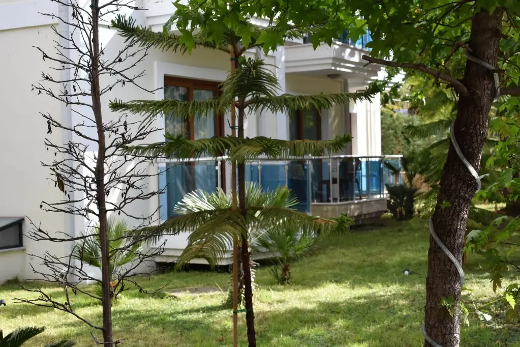 Фетхие: Yagmur Hotel