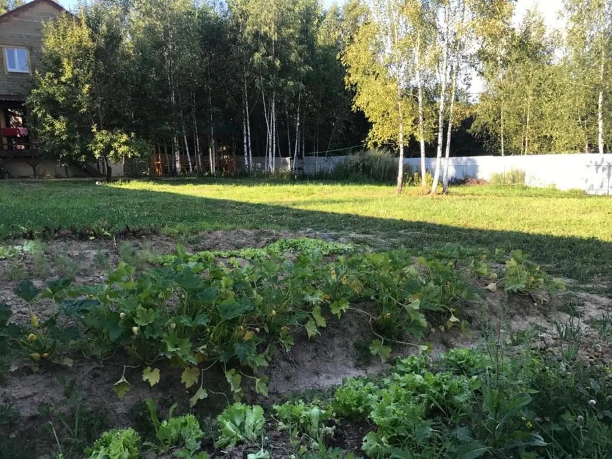 Сергиев Посад: Жилой дом и сауна в Сергиевом Посаде Birch Corner