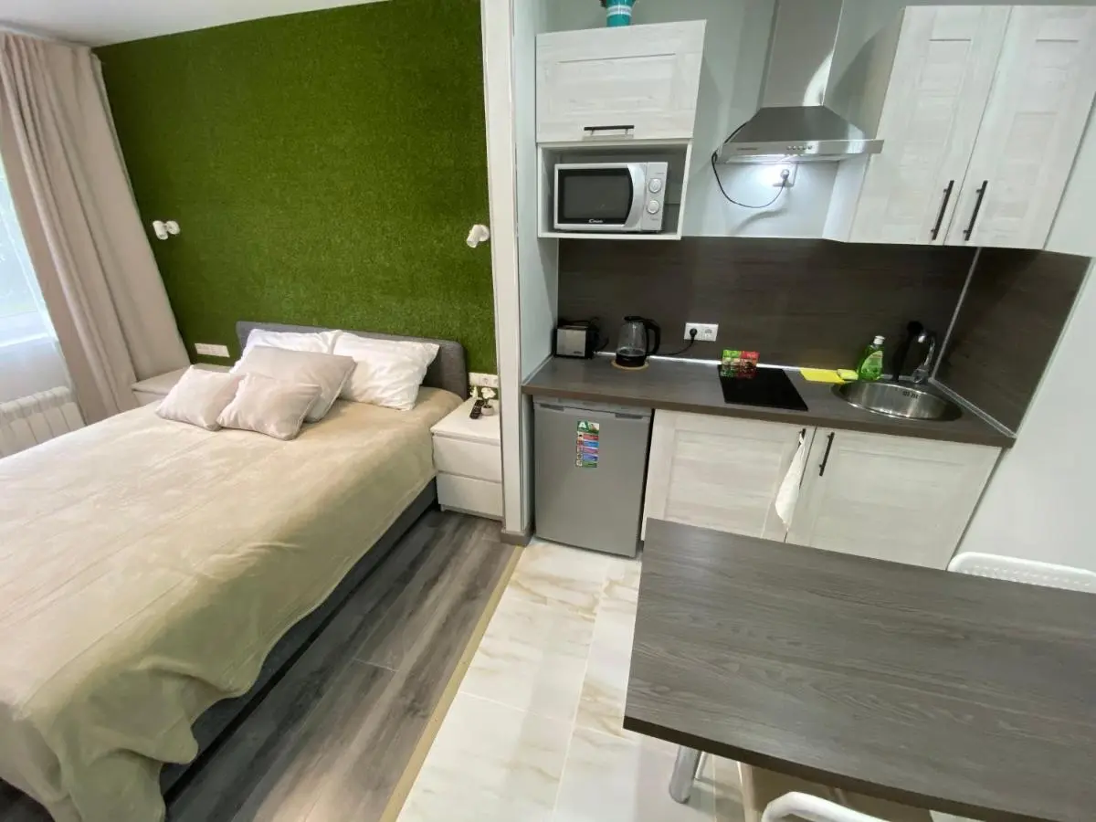 Одинцово: Green Grass studio in Odintsovo