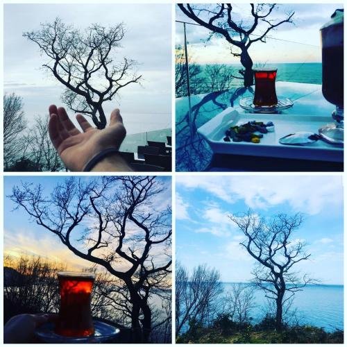 Архави: Falez Cafe & Restaurant & Pansiyon