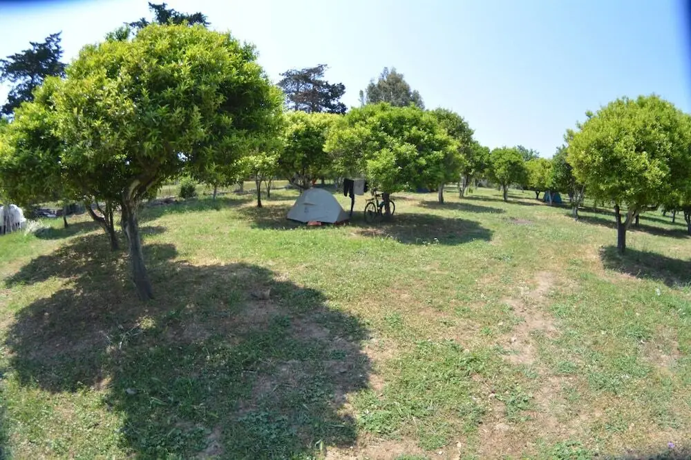 Тургутрейс: Bodrum Ecofarm Camp Hostel
