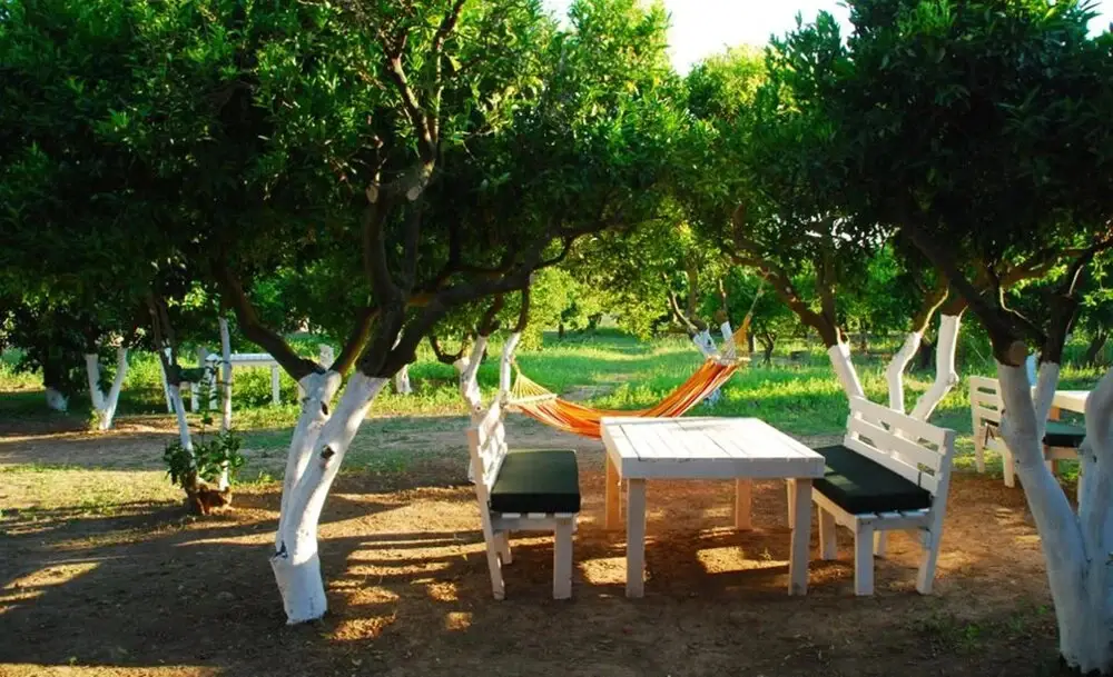 Тургутрейс: Bodrum Ecofarm Camp Hostel