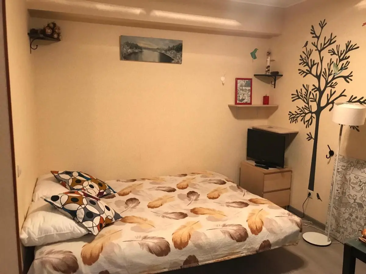 Одинцово: Apartment on Mozhayskoye