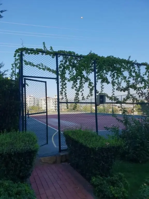 Аланья: Crown City D67