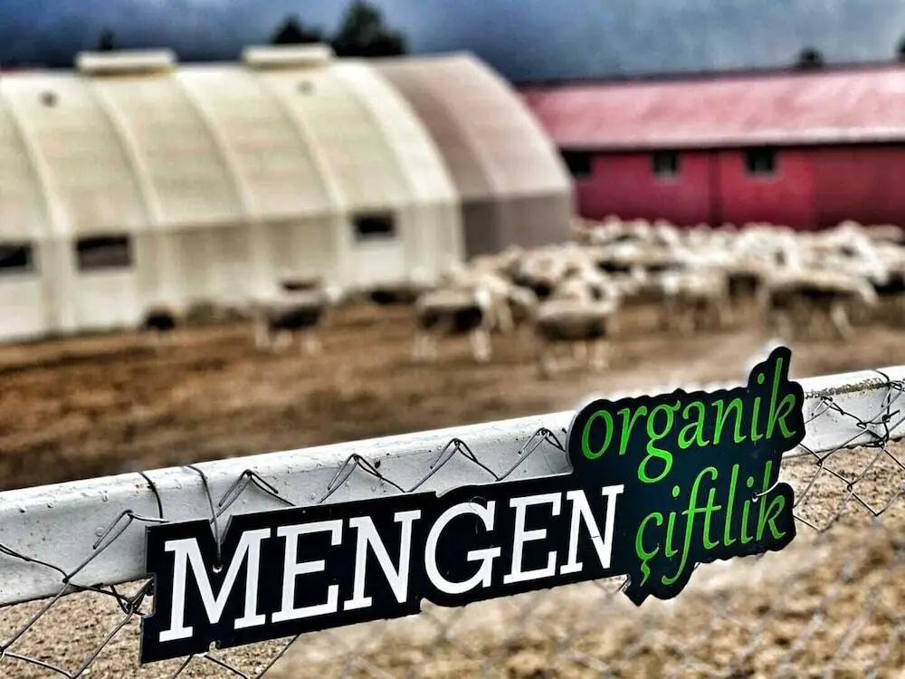 Гереде: Mengen Ruya Ciftligi Hotel