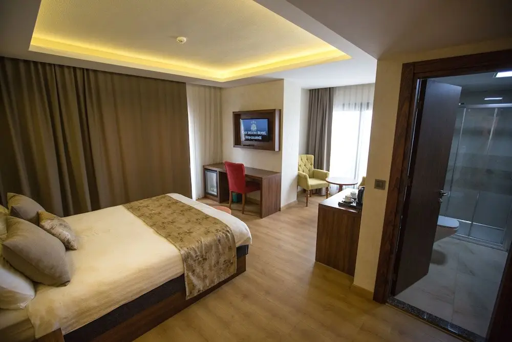 Алашехир: Can Deluxe Hotel