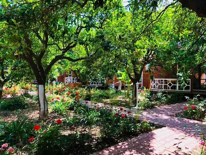 Чиралы: Eliz Inn Garden Apart