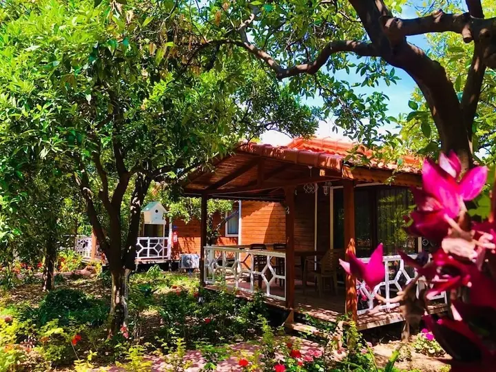 Чиралы: Eliz Inn Garden Apart