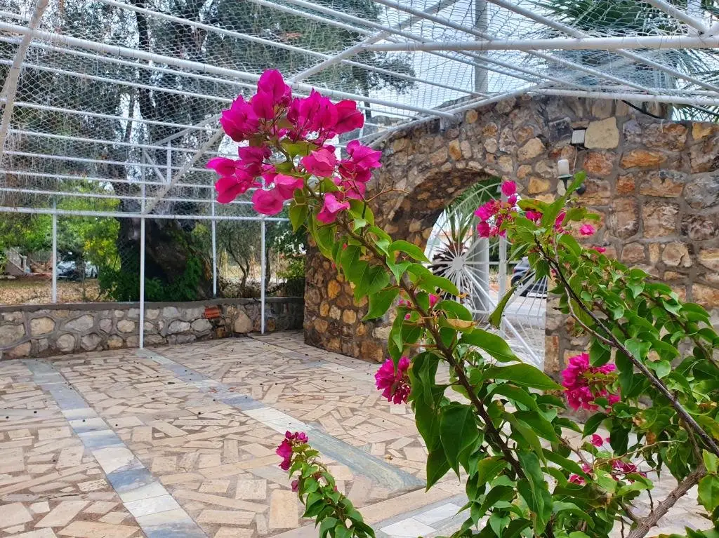 Карабурун: Dilek Agaci Butik Otel