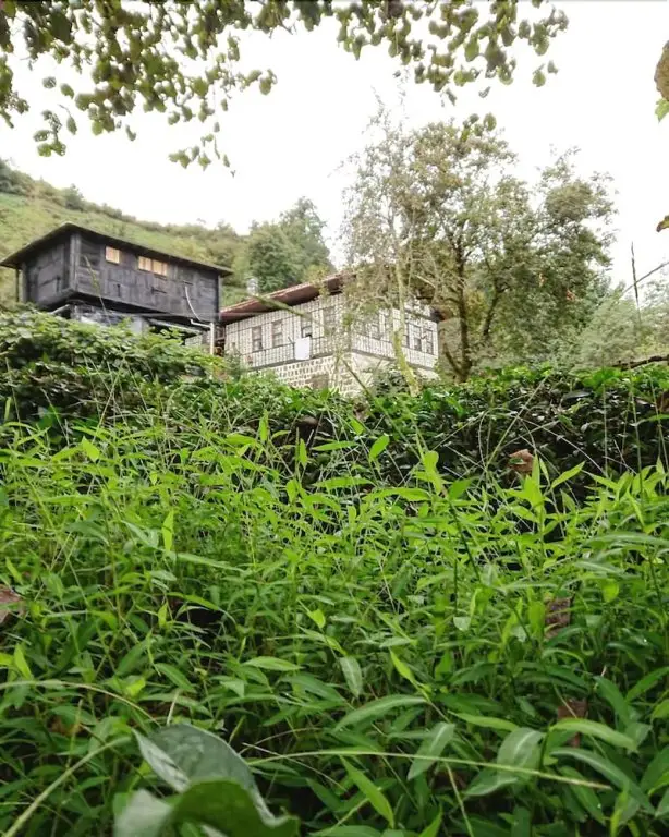 Фындыклы: Laz Evi Pansiyon