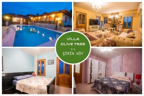 Гокова: Villa Olive Tree