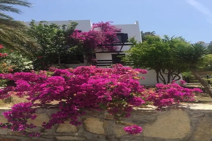 Гюндоган: BO025 Bodrum