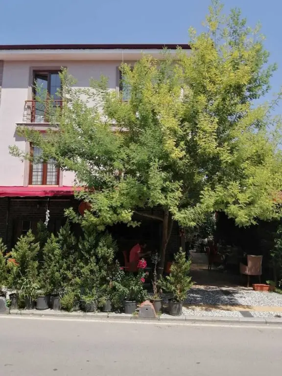 Янык: Papatya Hotel