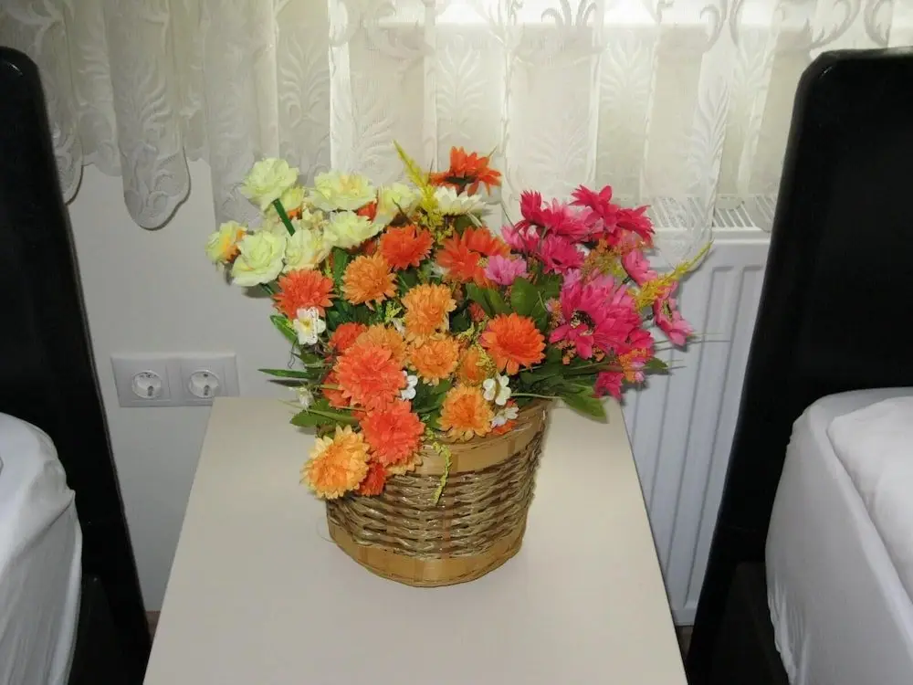 Гюмюшхане: Harsit Otel