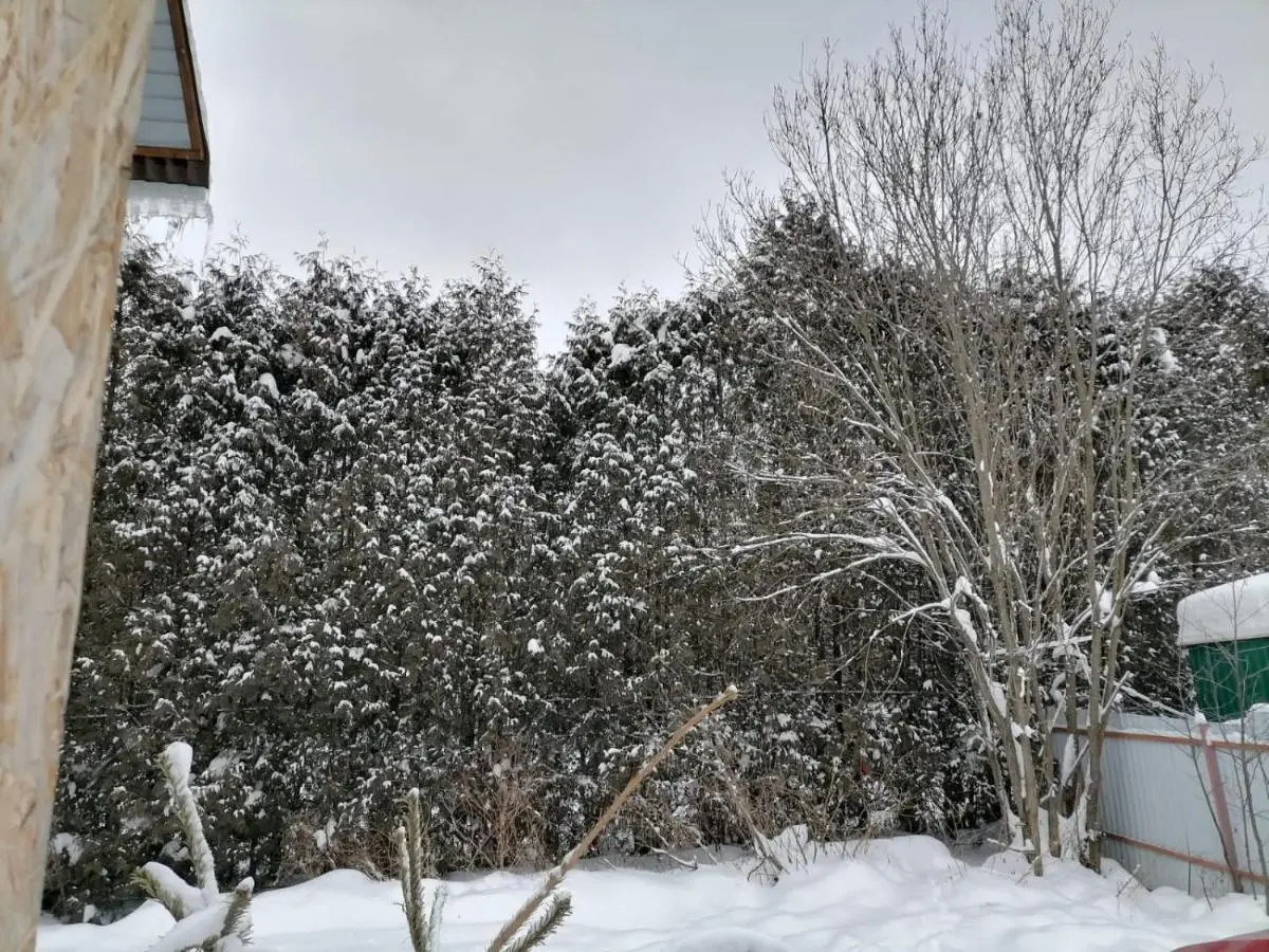 Novoye Brekhovo: Friendly Home