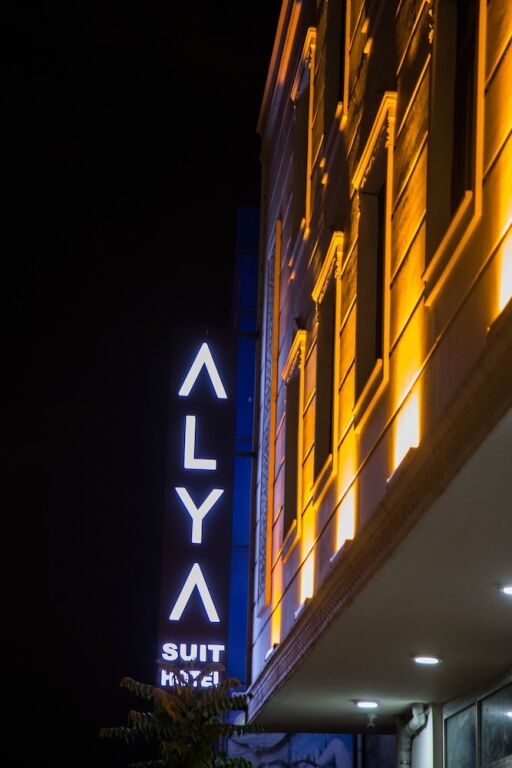 Alya Suit — фото 1