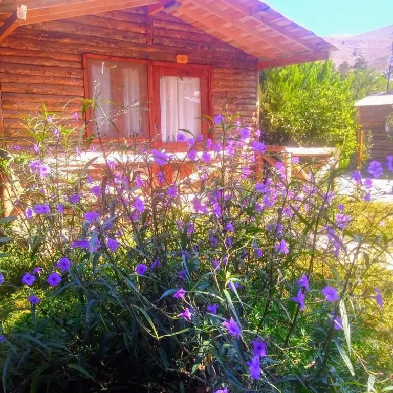 Тургутрейс: Pitosbungalows