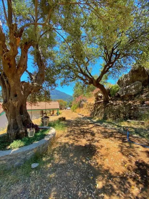 Гокбел: Iztuzu Homes
