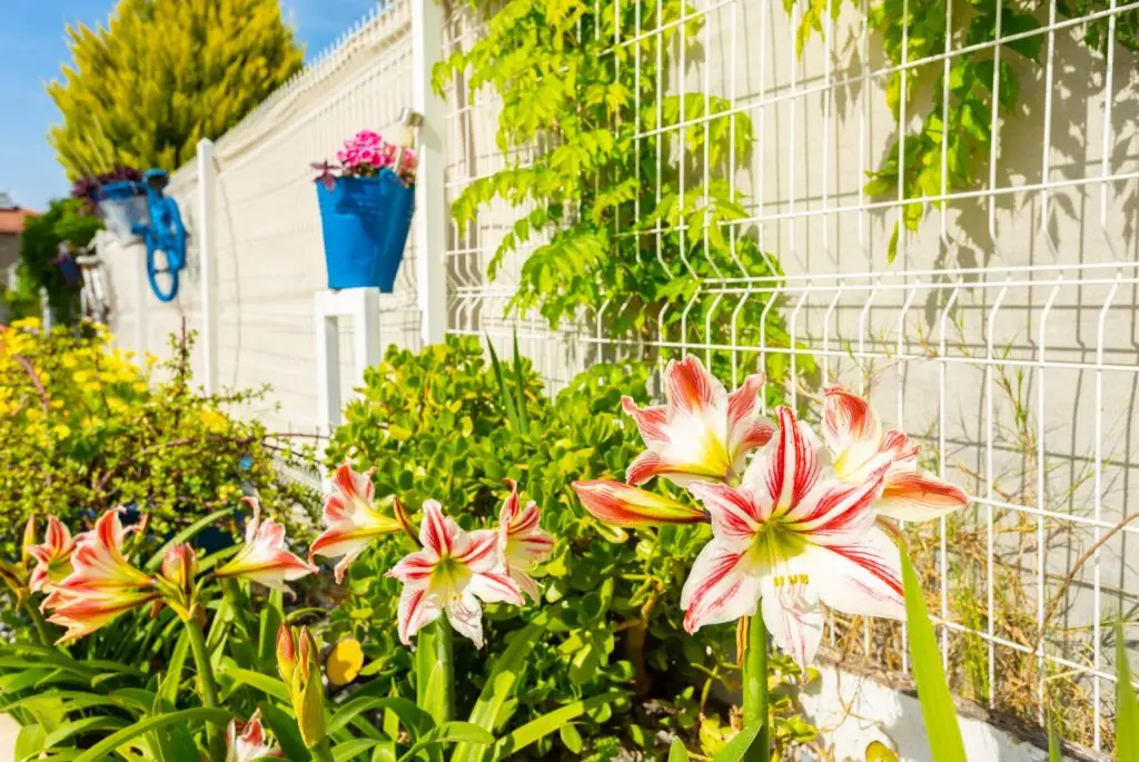 Дальян: Villa Mina Large Private Pool A C Wifi Car Not Required Eco-friendly - 2834