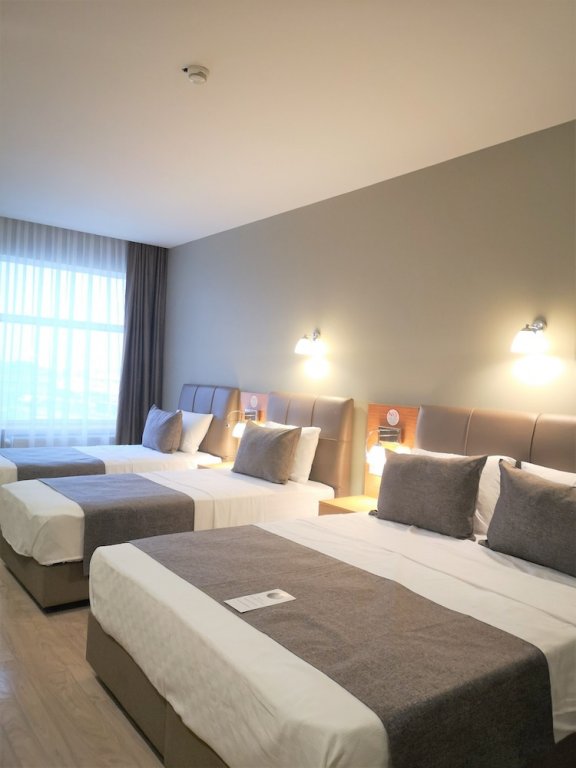 Стамбул: Grand Park Hotel Istanbul