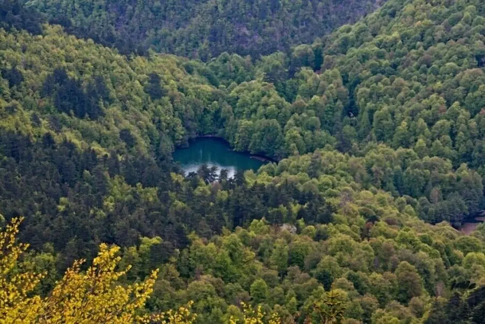 Болу: Bolu City Otel