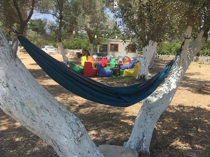 Гюмюшлюк: Bodrum Masali Camping - Hostel