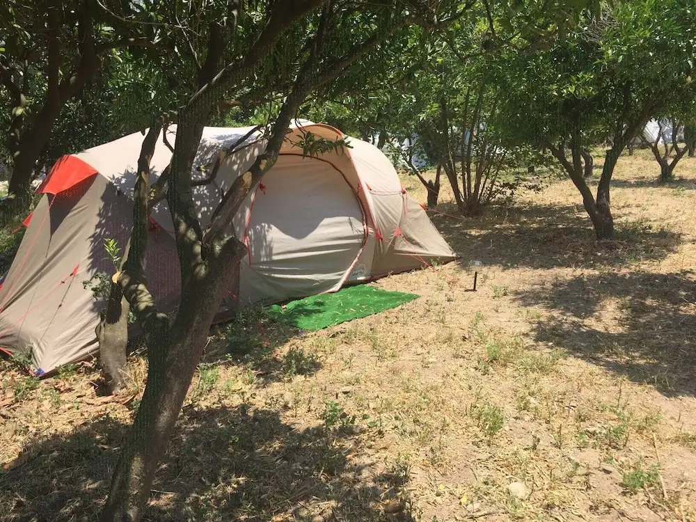 Гюмюшлюк: Bodrum Masali Camping - Hostel