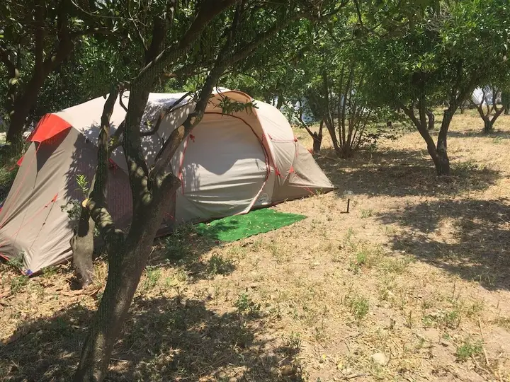 Гюмюшлюк: Bodrum Masali Camping - Hostel